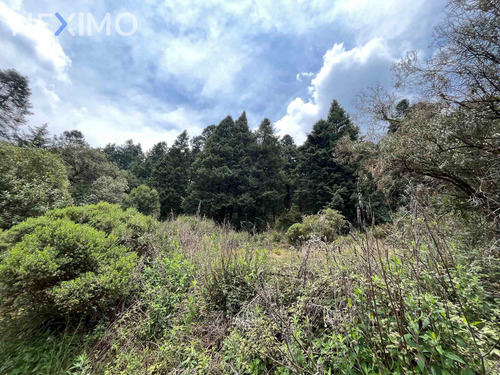 Imagen 6 de 6 de Venta Terreno 0 Ambiente Ignacio Allende