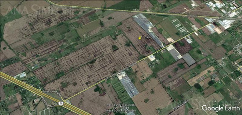 Imagen 6 de 10 de Campo De 81 Ha En Excelente Ubicación Frente A Ruta