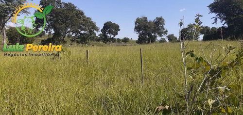 Imagem 9 de 13 de Fazenda À Venda Em Peixe - To - De 2.260 Hectares (dupla Aptidão) - 1856