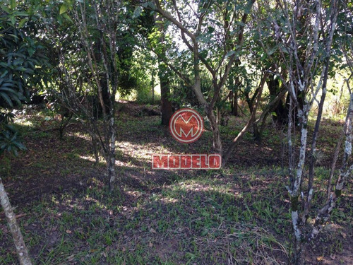 Imagem 11 de 14 de Chácara Com 2 Dormitórios À Venda, 1700 M² Por R$ 400.000 - Colinas De Santa Izabel - Piracicaba/sp - Ch0181