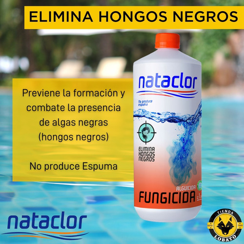 Imagen 3 de 10 de Alguicida Fungicida Elimina Hongos Algas Pileta 1 L Nataclor
