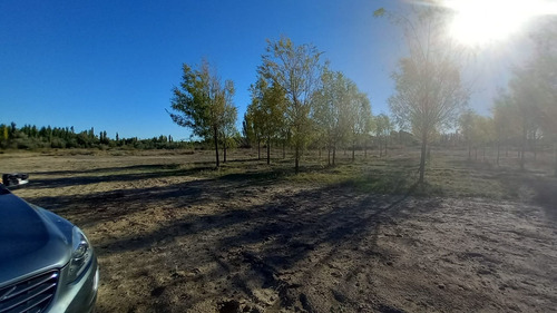 Imagen 25 de 30 de Chacra En Venta Con Casa Y Galpón Cervantes