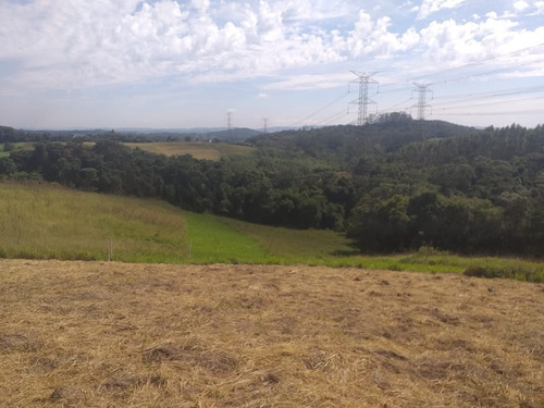 Imagem 14 de 15 de 11o- Vendo Terreno No Interior De São Paulo