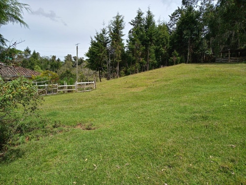 Imagen 2 de 9 de Finca Rionegro 110 Mil Mts Para Sib División 7.500 Millones