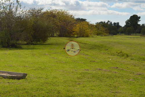 Imagen 13 de 30 de Terreno Lote En Venta Ubicado En Manuel B Gonnet, La Plata