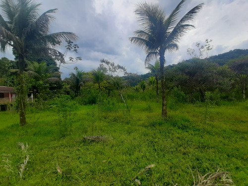 Imagem 7 de 15 de Cod.830 Sitio Com 34mil M² No Parque Capivari - 12579