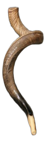 40  Full Natural Kosher Yemenite Kudu Cuerno Shofar