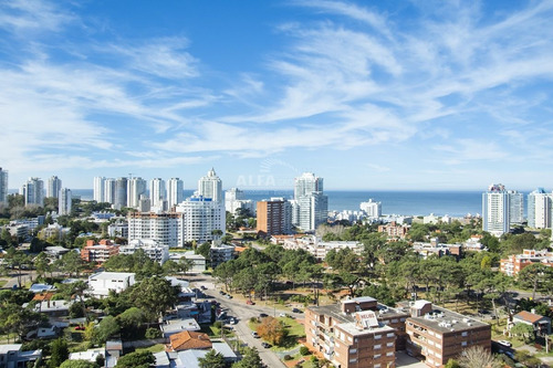 Imagen 10 de 16 de Punta Del Este-mansa