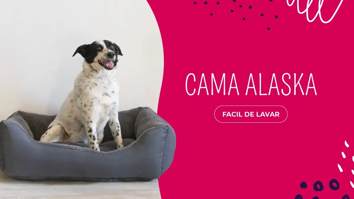 Cama para perro con manta incluida