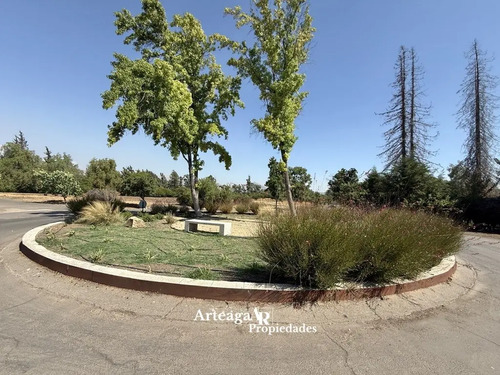 Sitio Sector Condominio El Algarrobo, Chicureo Oriente