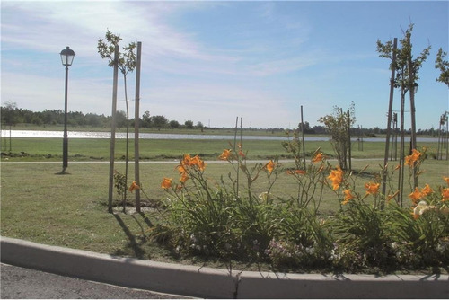 Imagen 8 de 12 de Venta De Lote En Oportunidad, En San Lucas Canning