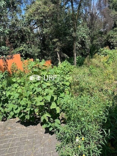 Imagen 3 de 5 de Bonito Terreno En Venta, En Cerrada En Lomas Altas
