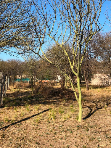 Lote De 1125 M2 En Piedra Pintada - Traslasierra