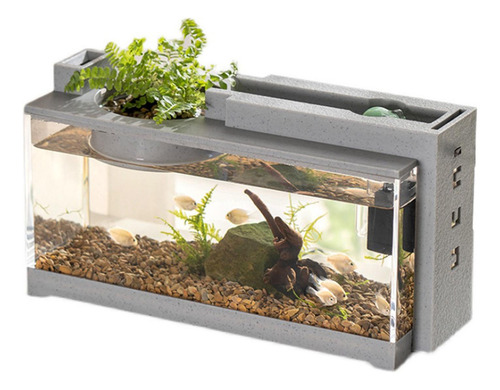 Acuario De Micropaisaje, Acuario De Escritorio, Acuario B