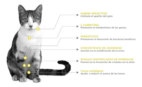 Nupec Urinary Felino Croqueta 3kg + 16 Latas Nupec Urinary