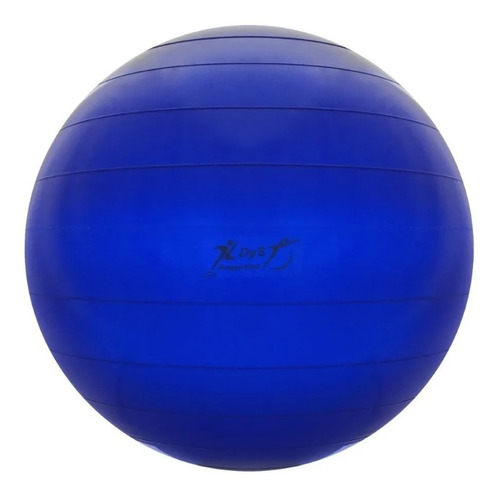 Pelota Pilates 60 Cm 700gr Reforzada Yoga Esferodinamia Gym