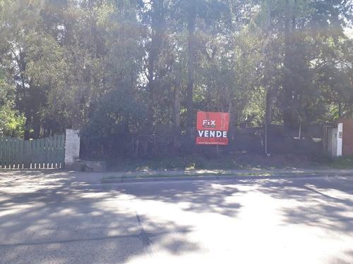 Imagen 6 de 8 de Oportunidad Para Inversores En Monte Grande! Lote De 1560 Mt