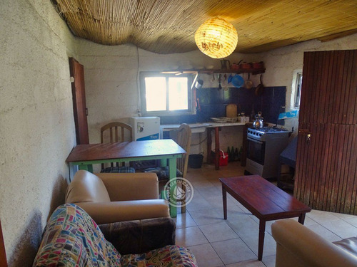 Alma Chica En Cabo Polonio