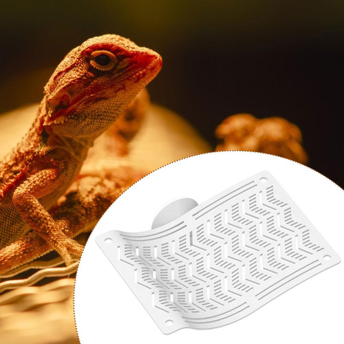 Hamaca De Reptiles, Hamaca De Dragón , Tumbona De Lagartos,