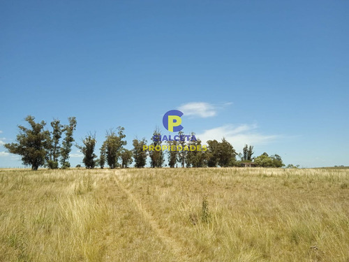 23 Hectáreas En Lavalleja Con Arroyo
