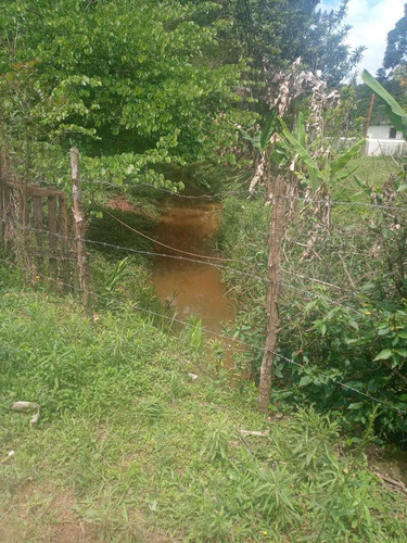 Imagem 14 de 14 de Lotes Á Venda Com Vista Pra Natureza 77a