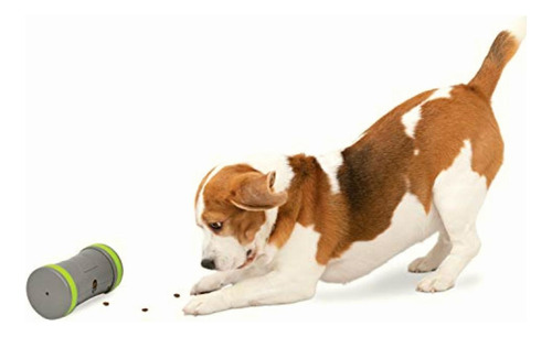 Petsafe Kibble Chase Electronic & Interactive Dog Treat