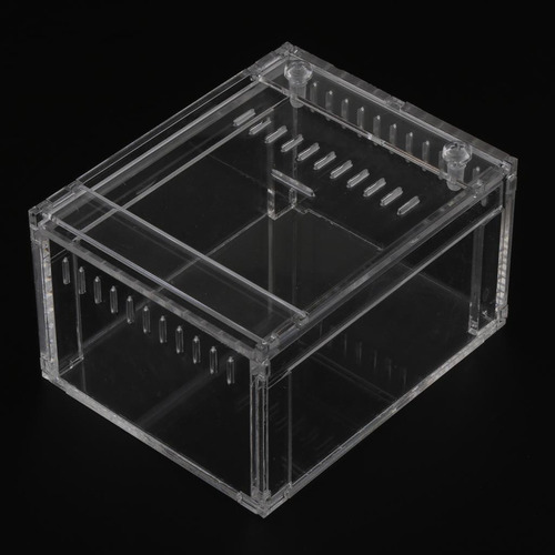 Acrilic Reptiles For Mascotas, Transparente Cajas De
