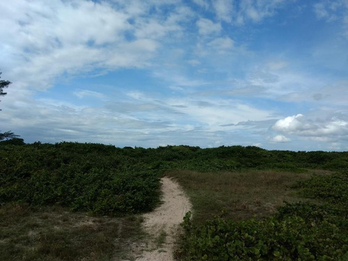 Venta Terreno 50 Hectareas Frente Playa Tamiahua Veracruz