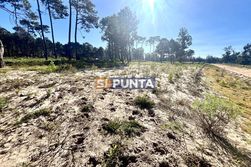 Terreno En Parque Burnet