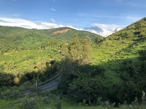 Imagem 4 de 16 de Lotes À Venda, A Partir De 30.000 M² Por R$ 299.990 - Serra Negra/sp - Ch0065