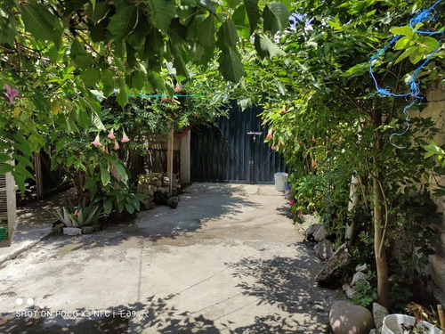 Gran Casa Amplia Con Jardin 2 Niveles Con Opcion A Ser 2 Departamentos Independientes