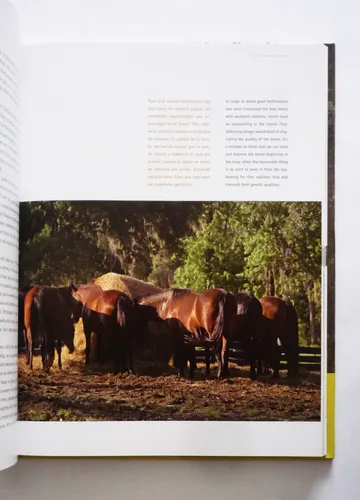 Paso Fino La Influencia Del Caballo - Jaime Mejia Escobar (Usado)
