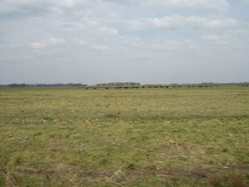 Imagen 8 de 17 de Campo En Cañuelas