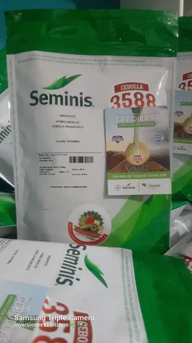 Semilla De Cebolla 3588 F1