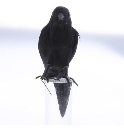 D Cuervo Espanta Palomas Realista Aves Artificiales Con