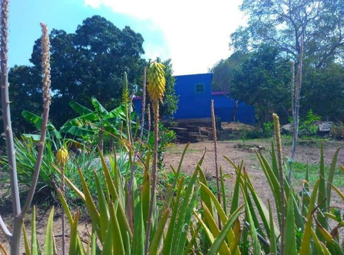 Imagen 4 de 5 de Casa En Venta Con Terreno De Una Hectareas