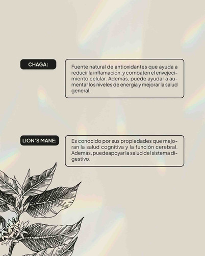 Café Con Lion's Mane Y Chaga | Ideal Por La Mañana