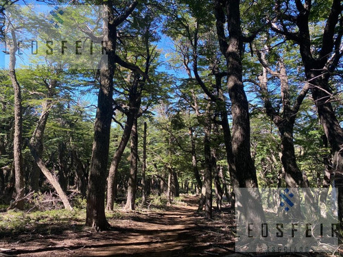 Imagen 17 de 29 de Campo - Alumine