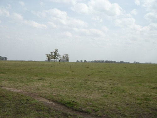 Imagen 14 de 17 de Campo En Cañuelas