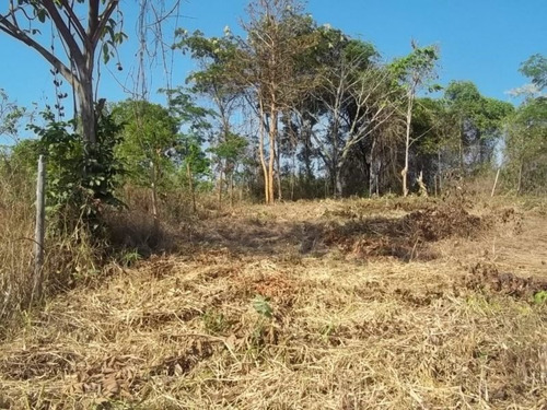 Lote Para Comprar No Centro Em Jaboticatubas/mg - 889