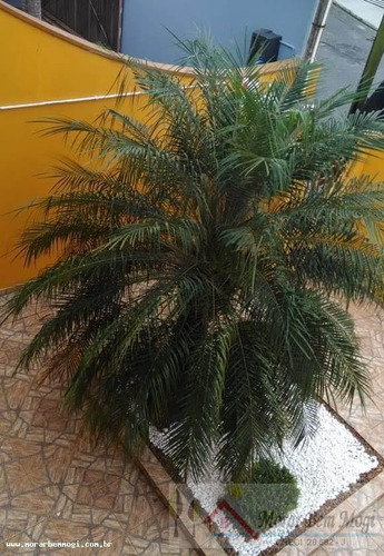Imagem 3 de 15 de Sobrado Para Venda Em Mogi Das Cruzes, Vila Suissa, 3 Dormitórios, 1 Suíte, 4 Banheiros, 5 Vagas - 3539_1-1532537