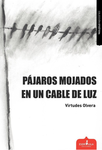 Libro Pãjaros Mojados En Un Cable De Luz - Olvera, Virtu...