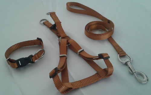 Imagen 3 de 7 de Pecheras Para Perros Combo De Tres Piezas