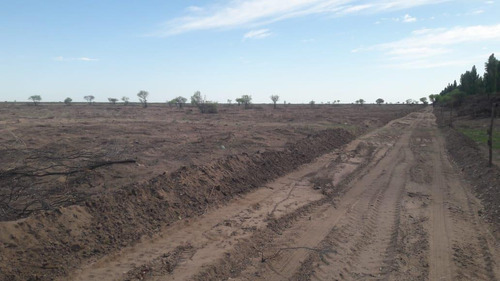 Imagen 16 de 20 de Campo En Venta 400 Ha - Colonia Elena- San Rafael - Mendoza
