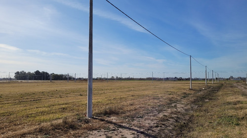 Amaneceres Del Sur, Lanzamiento Loteo En Saladillo-posesion Inmediata