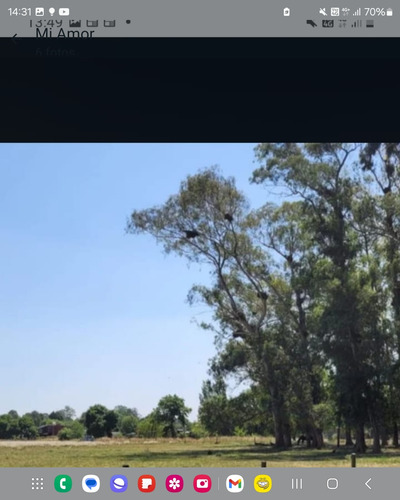 Chacras En Los Pinos
