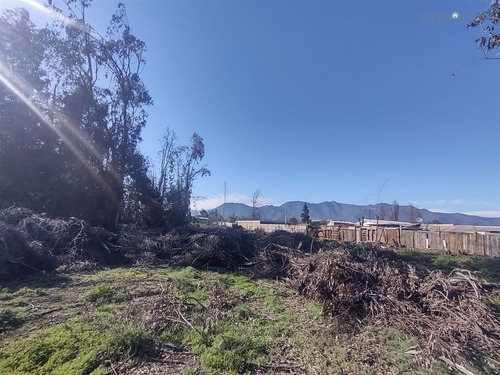 Terreno Construccion En Venta En Olivar