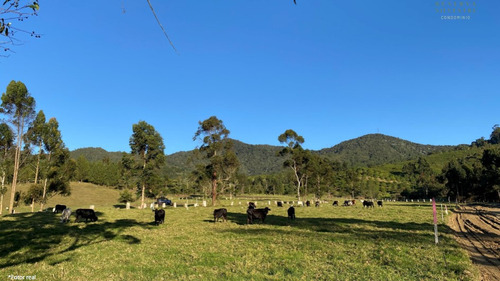 Venta De Lote En La Ceja, Sector El Yarumo