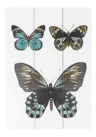 Cuadro Free Home Mariposas 24 X 34 X 2 Cm Cuadro Fre Tk004