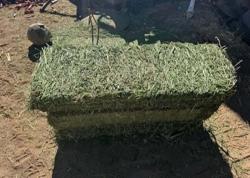 Fardos Alfalfa De Primera Calidad, Envios A Todo El Pais